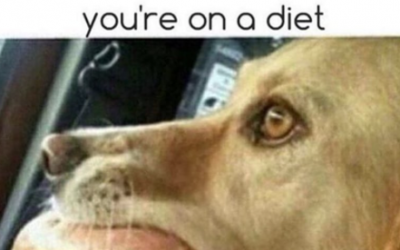 On a Diet?